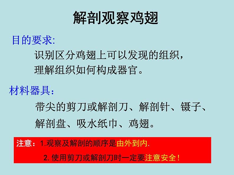 北师大版七年级上册生物  4.2 生物体的器官、系统 课件03