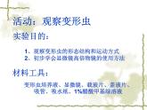 北师大版七年级上册生物  3.2 细胞是生命活动的单位 课件