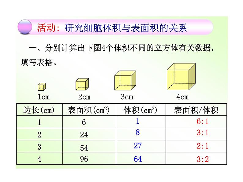 北师大版七年级上册生物  3.3 细胞通过分裂而增殖 课件05