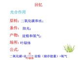 北师大版七年级上册生物  5.1 光合作用 课件