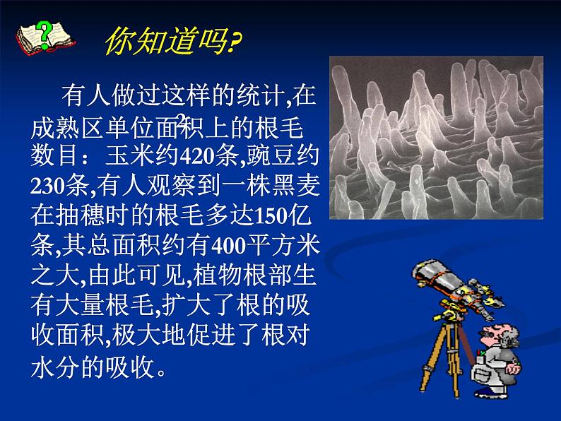 北师大版七年级上册生物  5.3 吸收作用 课件07