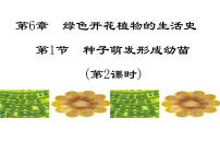 北师大版七年级上册第三单元  生物圈中的绿色植物第6章  绿色开花植物的生活史第1节 种子萌发形成幼苗课文内容ppt课件