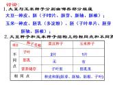 北师大版七年级上册生物  6.1 种子萌发形成幼苗 课件