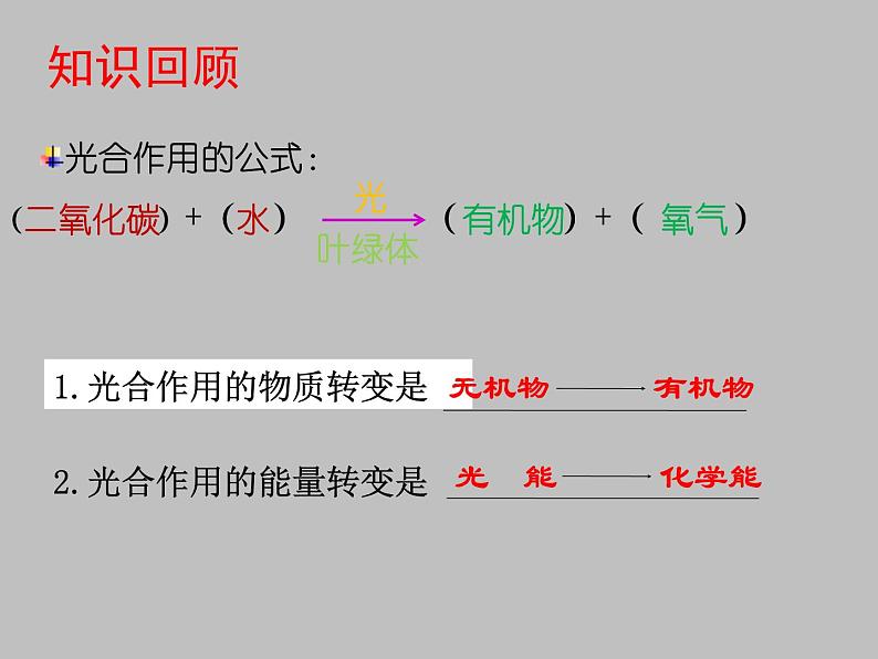 北师大版七年级上册生物  5.2 呼吸作用 课件02