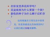 北师大版七年级上册生物  5.2 呼吸作用 课件