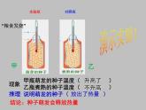 北师大版七年级上册生物  5.2 呼吸作用 课件