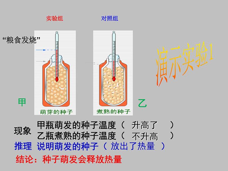 北师大版七年级上册生物  5.2 呼吸作用 课件05