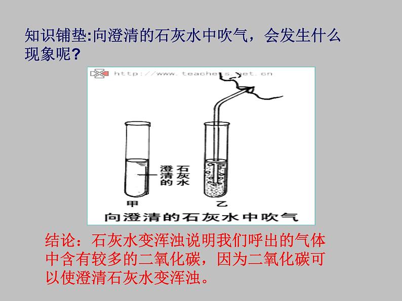 北师大版七年级上册生物  5.2 呼吸作用 课件07