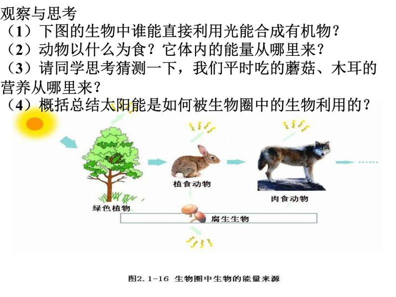 北师大版七年级上册生物  7.1 绿色植物在生物圈中的作用 课件05