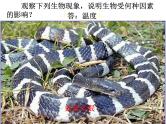 北师大版七年级上册生物  1.2 生物与环境的相互影响 课件