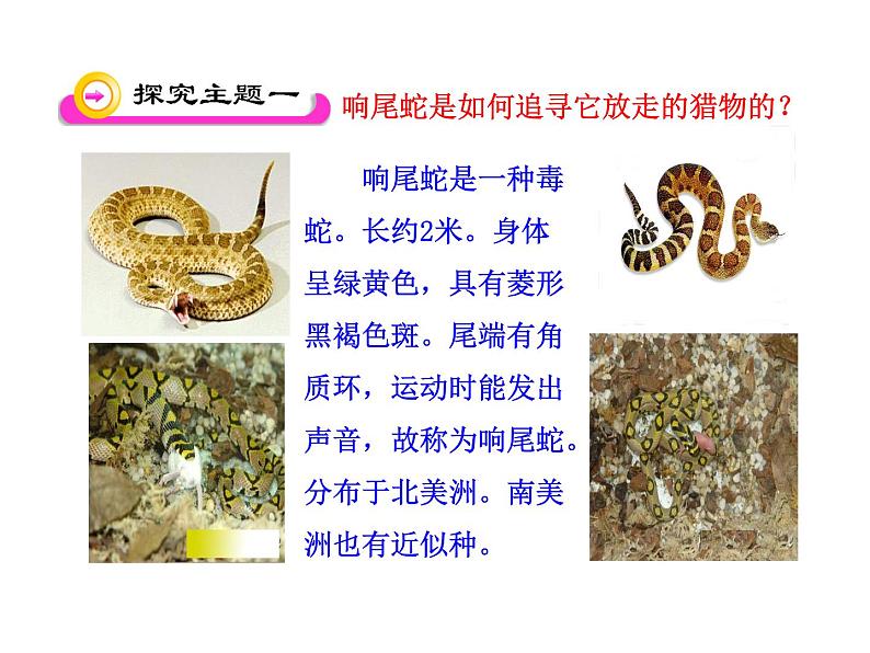 北师大版七年级上册生物  2.2 生物学研究的基本方法 课件04