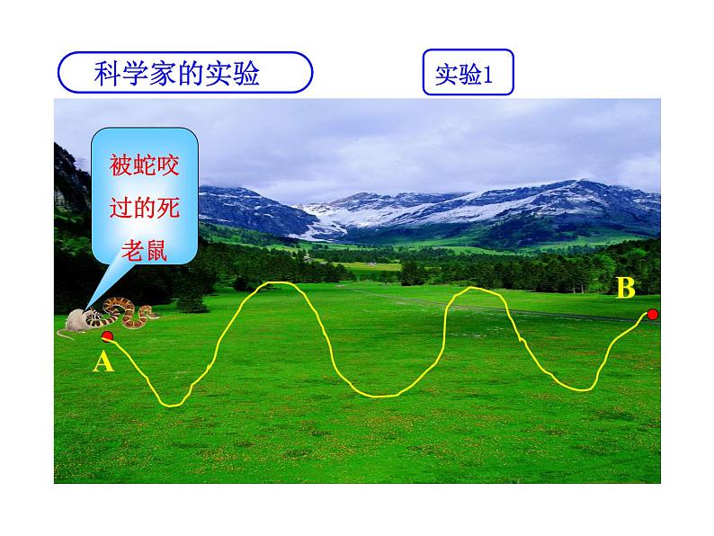 北师大版七年级上册生物  2.2 生物学研究的基本方法 课件08