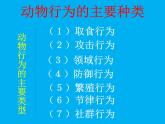 北師大版八年級上冊生物  16.2 動物行為的主要類型 課件