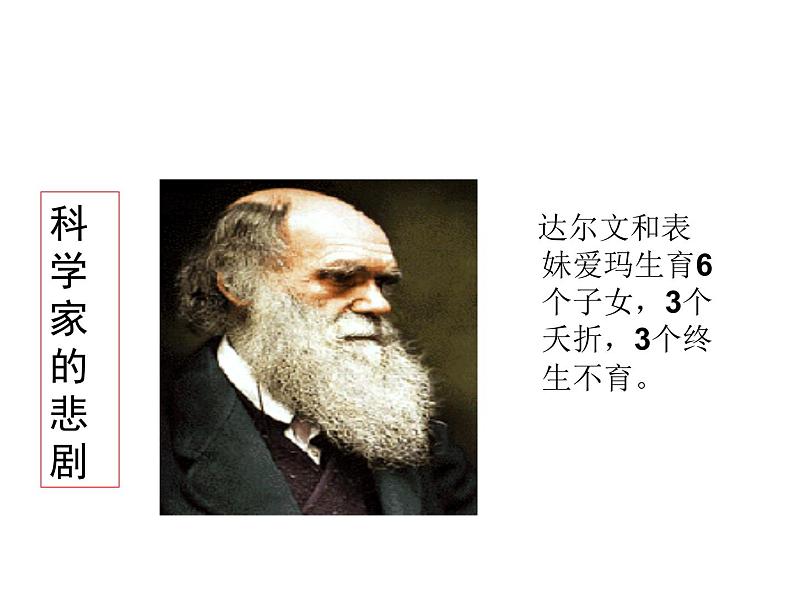 北师大版八年级上册生物  20.6 遗传病和人类健康 课件第8页