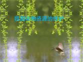 北师大版八年级上册生物  17.2 我国的动物资源及保护 课件