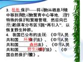 北师大版八年级上册生物  17.2 我国的动物资源及保护 课件