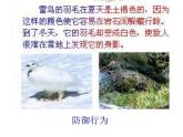 北师大版八年级上册生物  16.3 动物行为的研究 课件