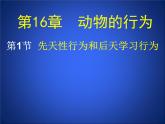 北师大版八年级上册生物  16.1 先天性行为和后天学习行为 课件