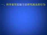 北师大版八年级上册生物  16.1 先天性行为和后天学习行为 课件