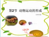 北师大版八年级上册生物  15.2 动物运动的形成 课件