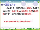 北师大版八年级上册生物  19.2 动物的生殖和发育 课件