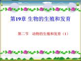 北师大版八年级上册生物  19.2 动物的生殖和发育 课件