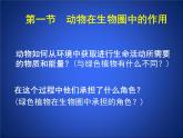 北师大版八年级上册生物  17.1 动物在生物圈中的作用 课件