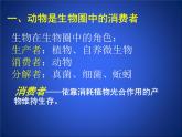 北师大版八年级上册生物  17.1 动物在生物圈中的作用 课件