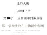 北师大版八年级上册生物  18.1 微生物在生物圈中的作用 课件