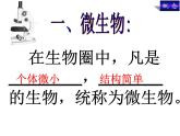 北师大版八年级上册生物  18.1 微生物在生物圈中的作用 课件