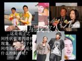 北师大版八年级上册生物  20.2 性状遗传的物质基础 课件