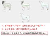 北师大版八年级上册生物  20.2 性状遗传的物质基础 课件