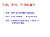 北师大版八年级上册生物  19.1 人的生殖和发育 课件