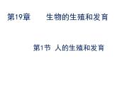 北师大版八年级上册生物  19.1 人的生殖和发育 课件