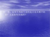 北师大版八年级上册生物  19.1 人的生殖和发育 课件