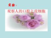 人教版七年级上册生物  2.1.3 动物细胞 课件