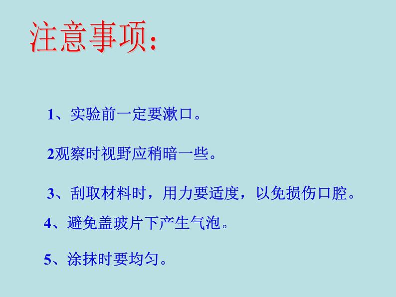 人教版七年级上册生物  2.1.3 动物细胞 课件第8页