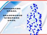 人教版七年级上册生物  2.1.4 细胞的生活 课件