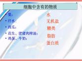 人教版七年级上册生物  2.1.4 细胞的生活 课件