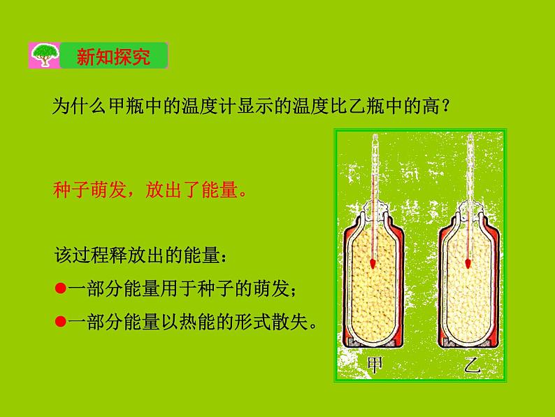 人教版七年级上册生物  3.5.2 绿色植物的呼吸作用 课件04