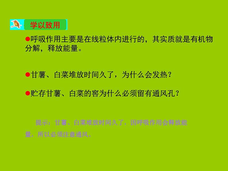 人教版七年级上册生物  3.5.2 绿色植物的呼吸作用 课件05