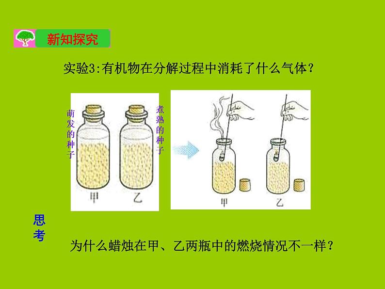 人教版七年级上册生物  3.5.2 绿色植物的呼吸作用 课件08