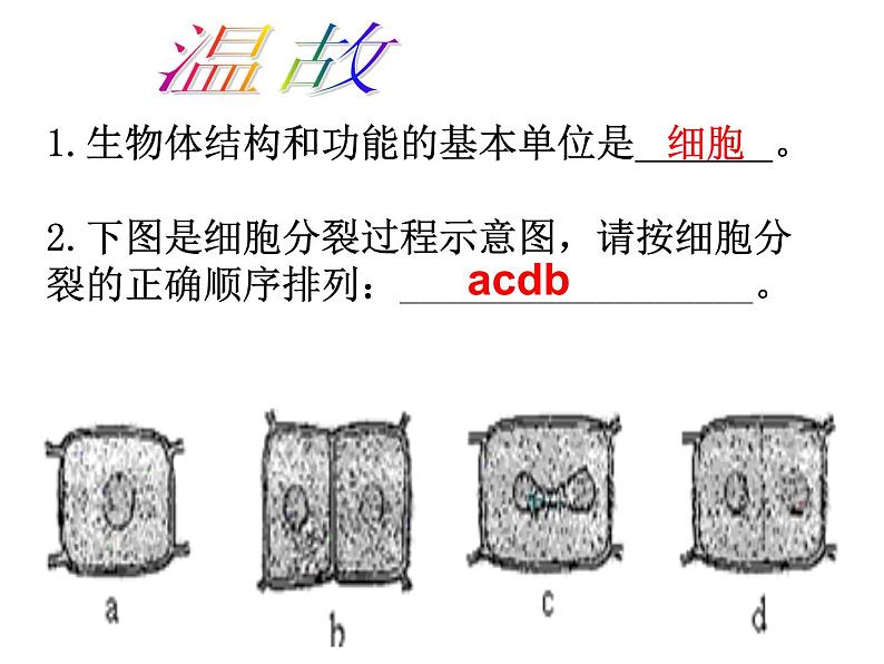 人教版七年级上册生物  2.2.2 动物体的结构层次 课件01