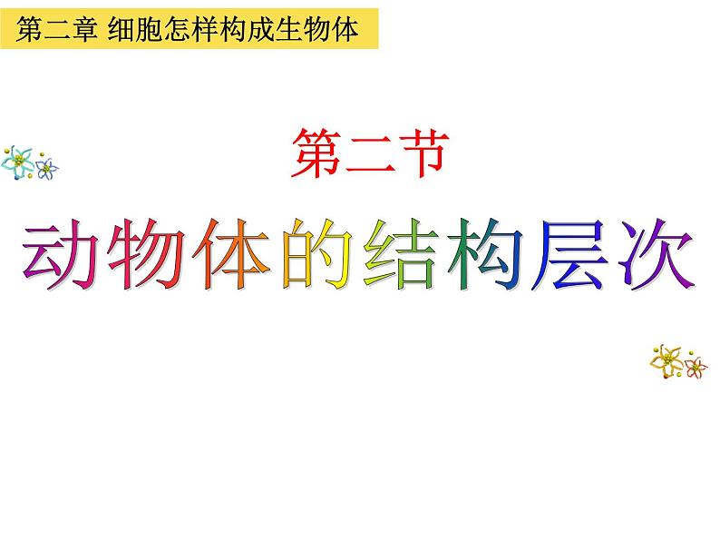 人教版七年级上册生物  2.2.2 动物体的结构层次 课件05