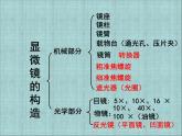 人教版七年级上册生物  2.1.1 练习使用显微镜 课件