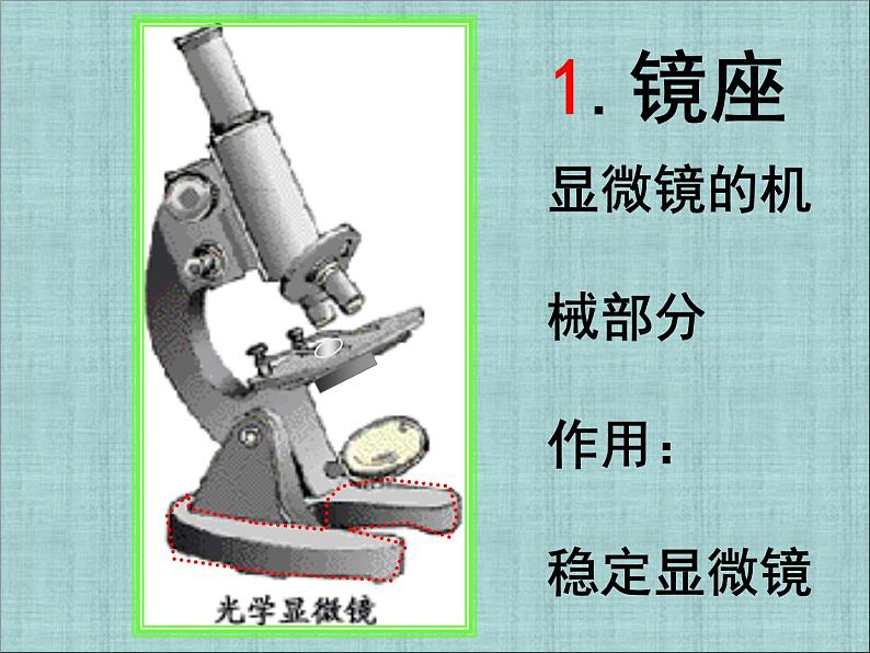 人教版七年级上册生物  2.1.1 练习使用显微镜 课件06