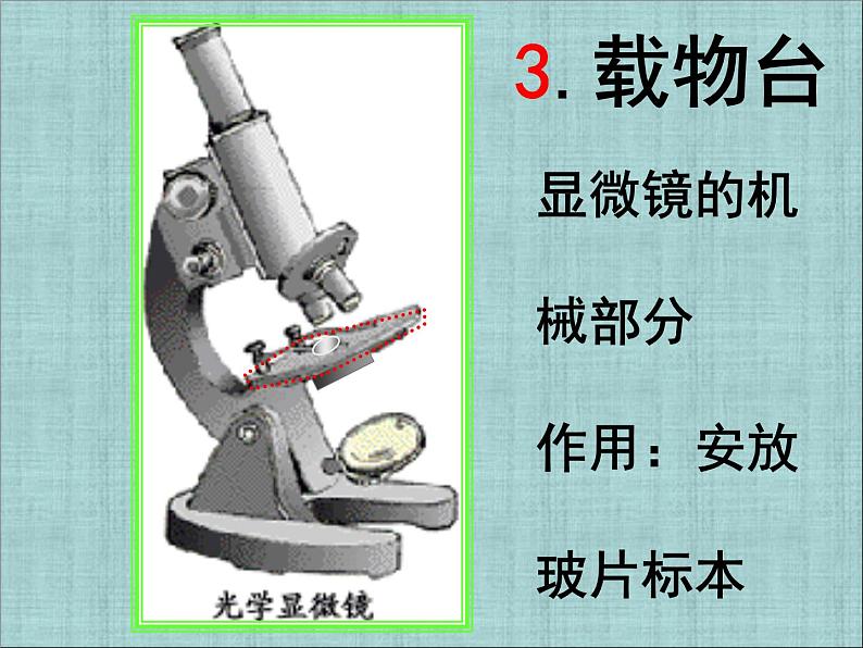 人教版七年级上册生物  2.1.1 练习使用显微镜 课件08