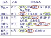 人教版七年级上册生物  1.2.1生物与环境的关系 课件