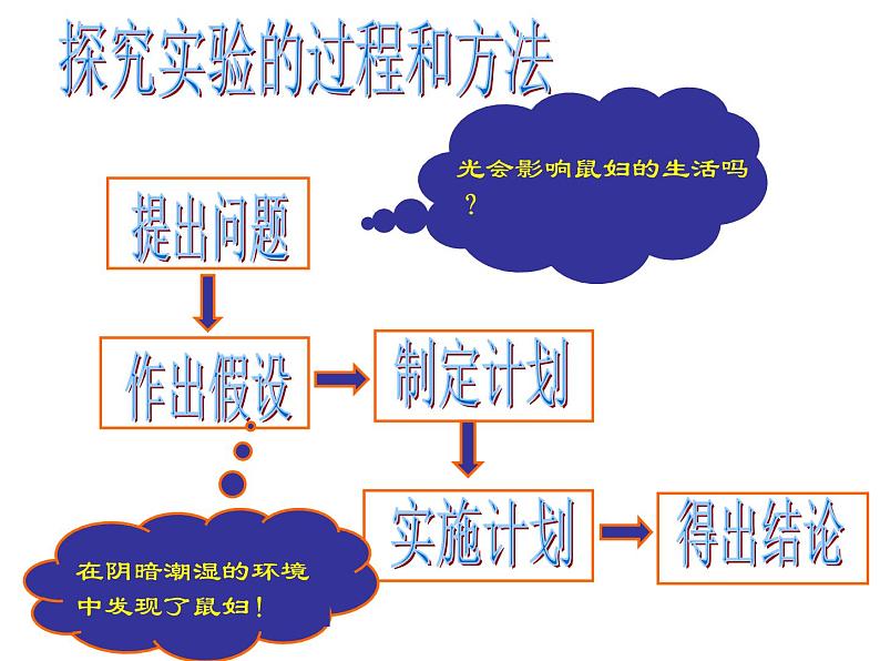 人教版七年级上册生物  1.2.1生物与环境的关系 课件06