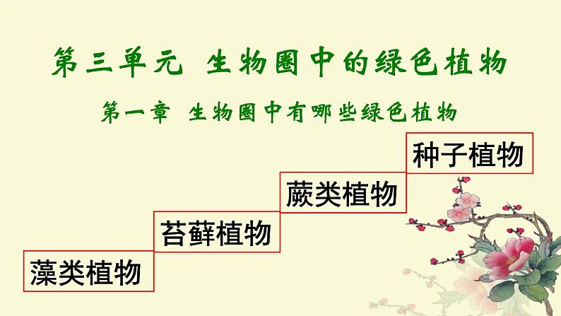 人教版七年级上册生物  3.1.1 藻类、苔藓和蕨类植物 课件02